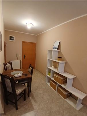 Milićeva-jednoiposoban-pet friendly-odmah useljiv