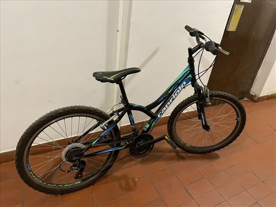 MTB Capriolo Diavolo 24”