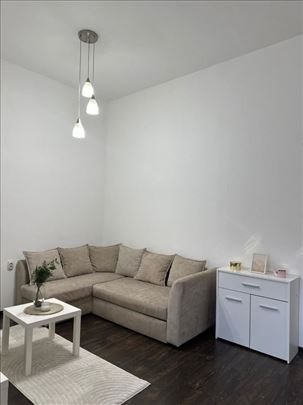 Senjak,38m2,renoviran,uknjizen,odmah useljiv