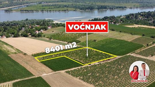 Vocnjak bresaka i nektarina na Fruskoj gori
