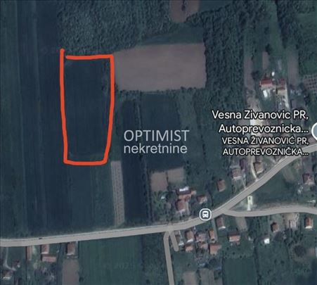 Plac u Mladenovcu, Crkvine, 86ari ID#3033