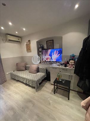 Botanička bašta, 50m2 prostor za više namena