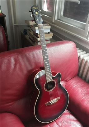 Gitara Aria Elecord FET STD-RS ozvucena