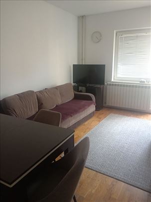 Južni Bulevar,1.5 stan,pet friendly ID#18522