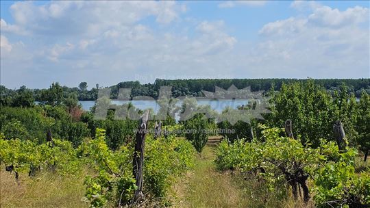 Plac Grocka pored Dunava