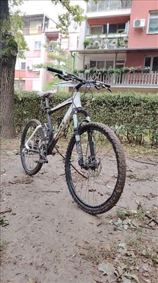 Scott reflex