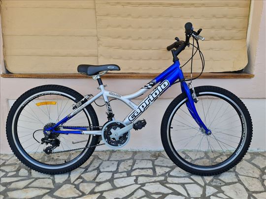 Capriolo 24 ka