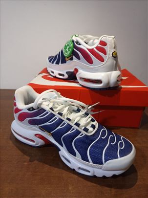 Nike Air Max TN Plus PSG