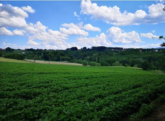 Loznica, Tršić, Zemljište, 147,00ar