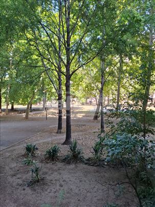 Blok 63 Immo, merene površine 66m²