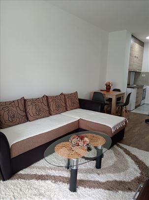 Izdaje se jednoiposoban stan na Novom Bubnju