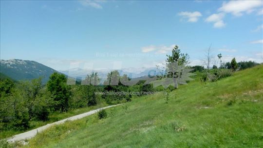 Prodajem plac Kruševice, Crna Gora