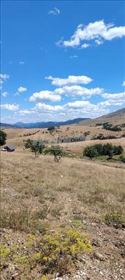 Prodaja parcelasanih placeva Zlatibor-Gajevi
