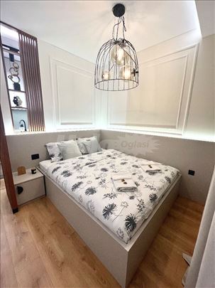 Lux apartment u centru grada kod skupstine