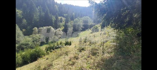 Plac na Zlataru
