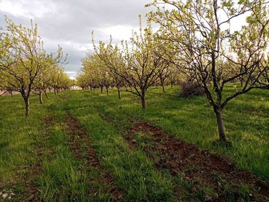 Taor plac i voćnjak za poželeti - opština Valjevo