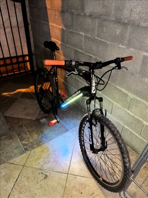 Capriolo Monitor MTB