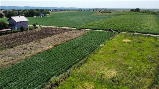Rumenka, Građevinsko zemljište 611m2 HITNO!