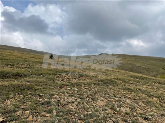 Plac Zlatibor/Čigota