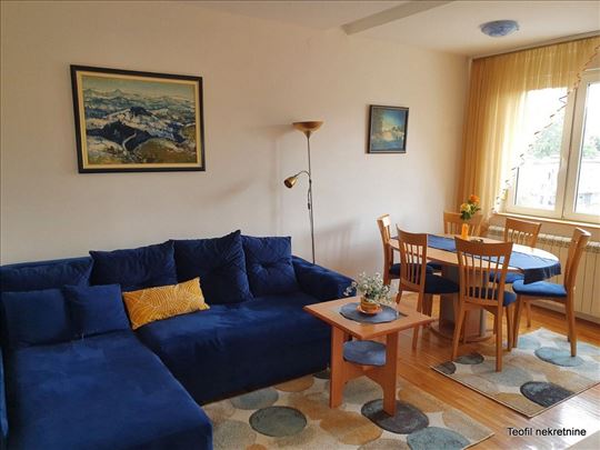 Skadarlija, 2.0, renoviran, namešten, 45(L)