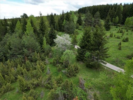 Prodaje se polj. zemljište 3625  m², Nova Varoš