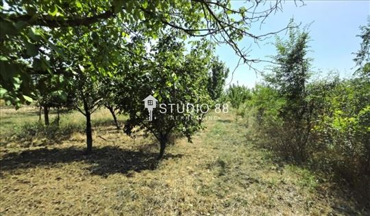 Zrenjanin, Bagljaš, Zemljište, 3132m2