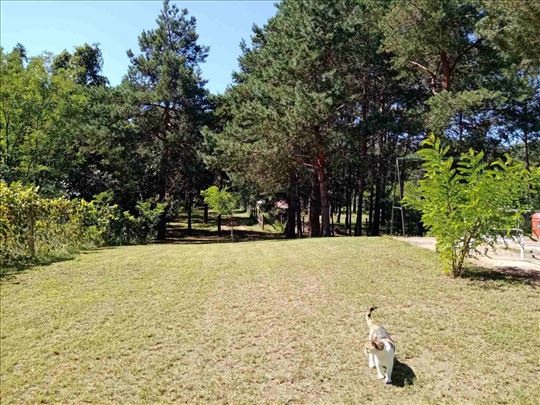 Vikend kuća sa bazenom na 28a placa-Bela Crkva