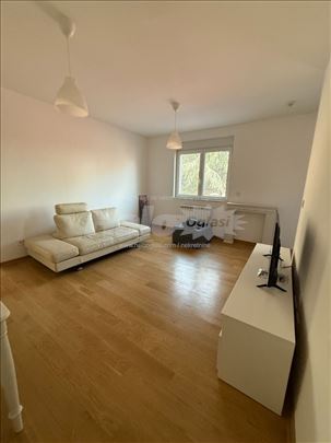 50m²