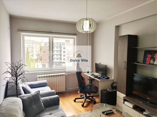 Komforan 1.5 stan u odličnom stanju, Vračar, Južni