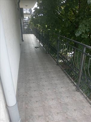 Dedinje   Savski Venac