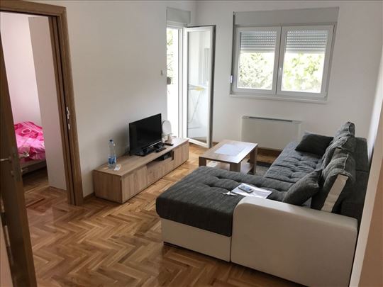 Zemun, Dunavska, novija zgrada 1.5; 36m2,T