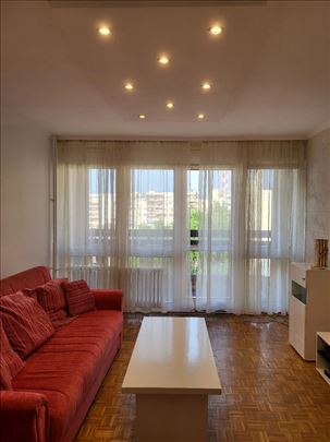 Novi Beograd, pet friendly