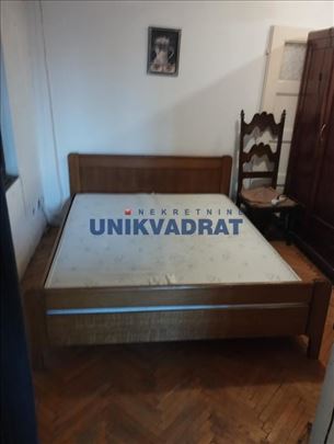Dalmatinska ID#2158