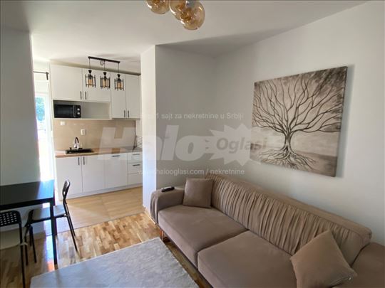 Lux apartment with backyard