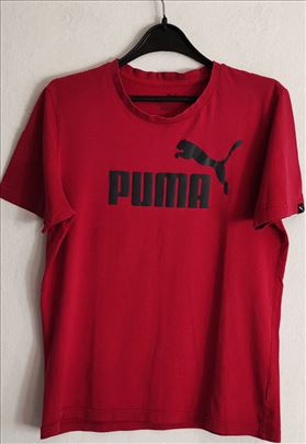 Puma  pamucna unisex majica vel.S/M