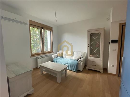 Izdavanje, stan, Sazonova, 40m2, Id729