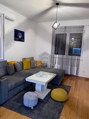 Lux, 2.5, Voždovac ID#8080