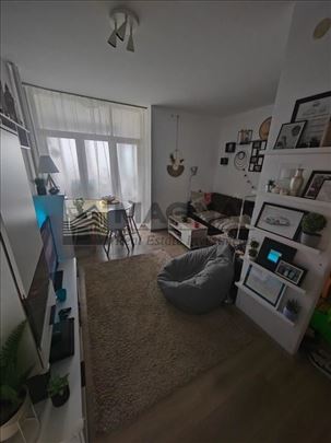 Banjica |2.5| CG