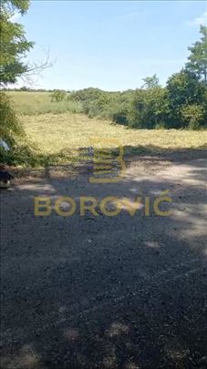Barajevo-Guncati, 10 ari, u građevinskom području