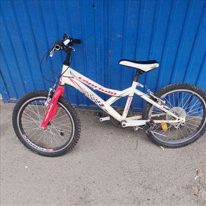 Capriolo 20"