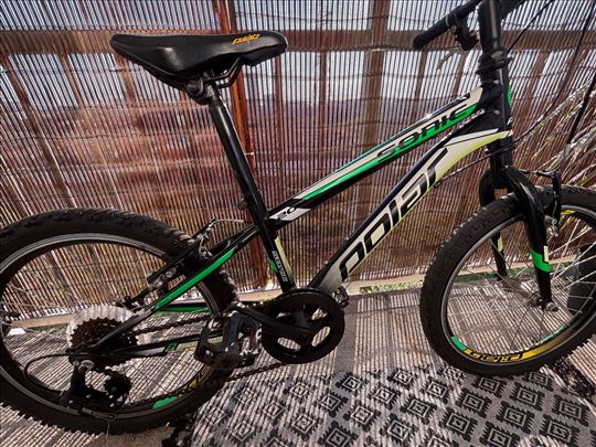 Polar Sonic 20