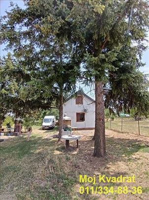 Stara Pazova, Stari Banovci - Braće Trninić