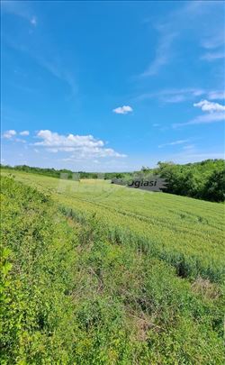 Zemljiste na Fruskoj Gori 53ar