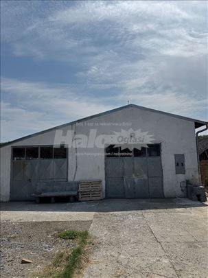 Izdajem halu od 240m2