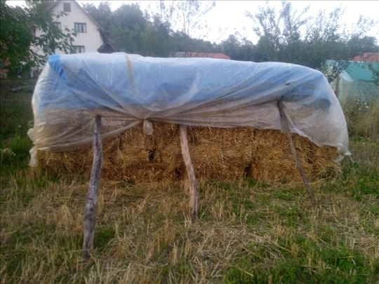 Prodajem bale slame