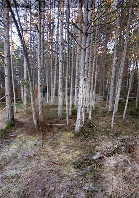 Građevinsko zemljiste, Zlatibor/Dobroselica 5 ar