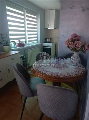 Oliverina, Učiteljsko naselje, Zvezdara ID#8122