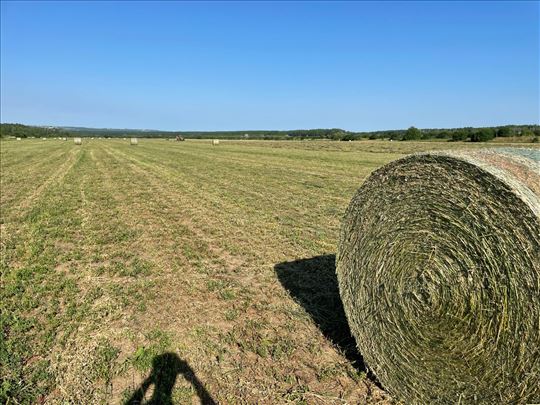Lucerka rol-bale
