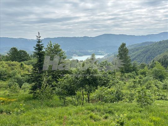 Plac na Tari (Zaovinsko jezero)