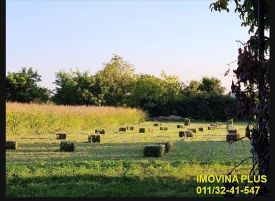 Stara Pazova, Golubinci, 34 ara